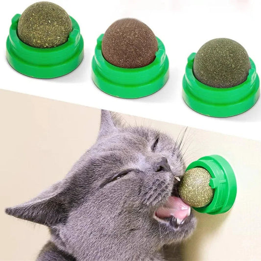 3 Pcs Catnip Balls for Cats – Wall-Mounted Toys for Fun, Grooming & Mental Stimulation