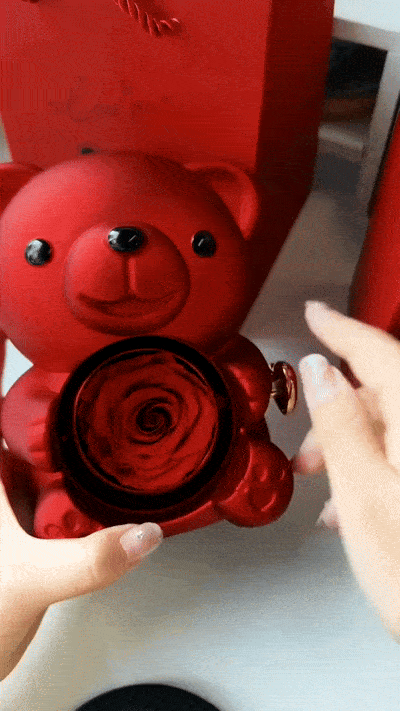 Eternal Rose Teddy Bear & Necklace Gift Set – Romantic Keepsake for Special Occasions