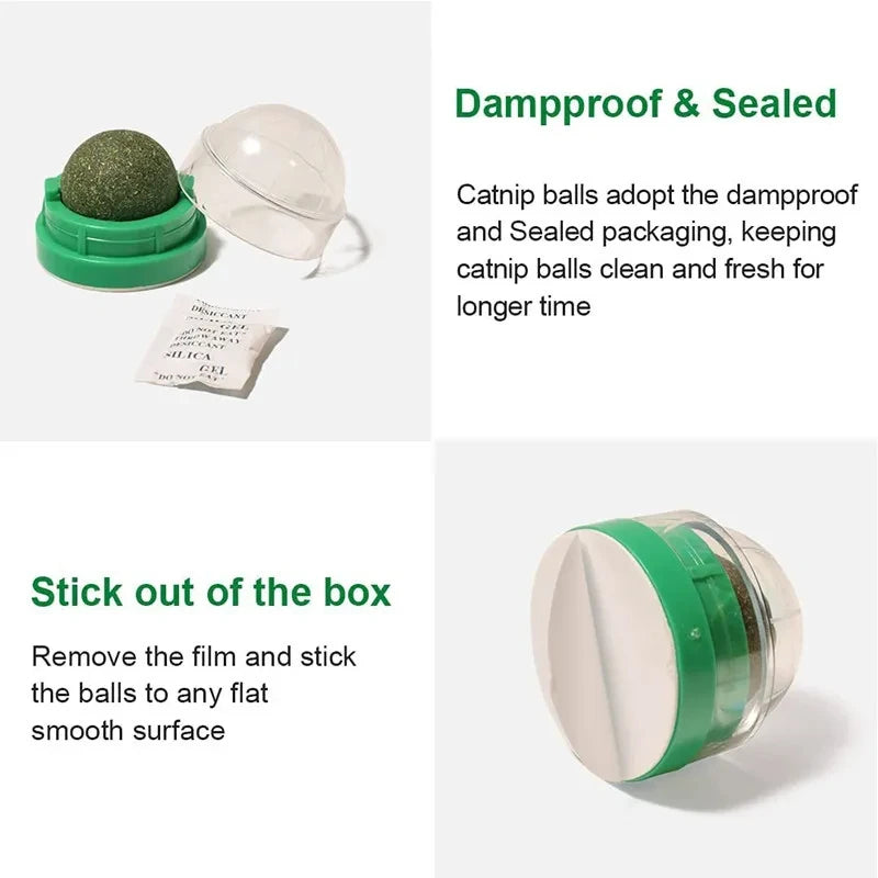 3 Pcs Catnip Balls for Cats – Wall-Mounted Toys for Fun, Grooming & Mental Stimulation
