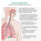 3-Ball Breathing Trainer for Lung Health – Strengthen Breathing, Asthma & Recovery Support